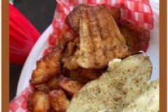 Fishfry1