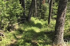 Whitemud Access 1
