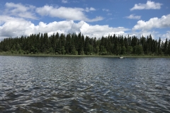 Whitemud Lk4